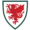 Wales_national_football_team_logo Collection – England Football Jerseys and Shirts