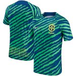 brazil national team nike 202223 pre-match top – bluegreen Collection – England Football Jerseys and Shirts