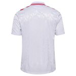 denmark national team 2024 away replica jersey – white Collection – England Football Jerseys and Shirts