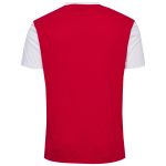 denmark national team block t-shirt – red Collection – England Football Jerseys and Shirts