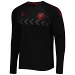 denmark national team fan raglan long sleeve t-shirt – black Collection – England Football Jerseys and Shirts