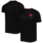denmark national team fan raglan t-shirt – black Collection – England Football Jerseys and Shirts