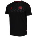 denmark national team fan raglan t-shirt – black Collection – England Football Jerseys and Shirts