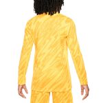 france national team nike youth 2024 goalkeeper replica stadium long sleeve jersey – yellow Collection – England Football Jerseys and Shirts