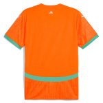 ivory coast national team puma 2025 home replica jersey – orange Collection – England Football Jerseys and Shirts