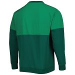 mexico national team adidas dna pullover sweatshirt – green Collection – England Football Jerseys and Shirts