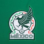 mexico national team adidas dna pullover sweatshirt – green Collection – England Football Jerseys and Shirts