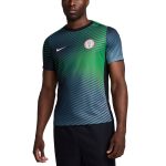 nigeria national team nike 2024 academy pro pre-match top – gray Collection – England Football Jerseys and Shirts