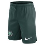 nigeria national team nike home performance stadium shorts – green Collection – England Football Jerseys and Shirts