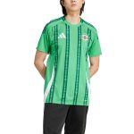 northern ireland national team adidas 2024 home replica jersey – green Collection – England Football Jerseys and Shirts