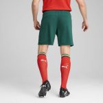 portugal national team puma 2025 home replica shorts – green Collection – England Football Jerseys and Shirts