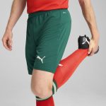 portugal national team puma 2025 home replica shorts – green Collection – England Football Jerseys and Shirts