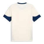 portugal national team puma 2025 training jersey – cream Collection – England Football Jerseys and Shirts