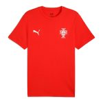 portugal national team puma ftblless t-shirt – red Collection – England Football Jerseys and Shirts