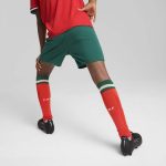 portugal national team puma youth replica shorts – green Collection – England Football Jerseys and Shirts