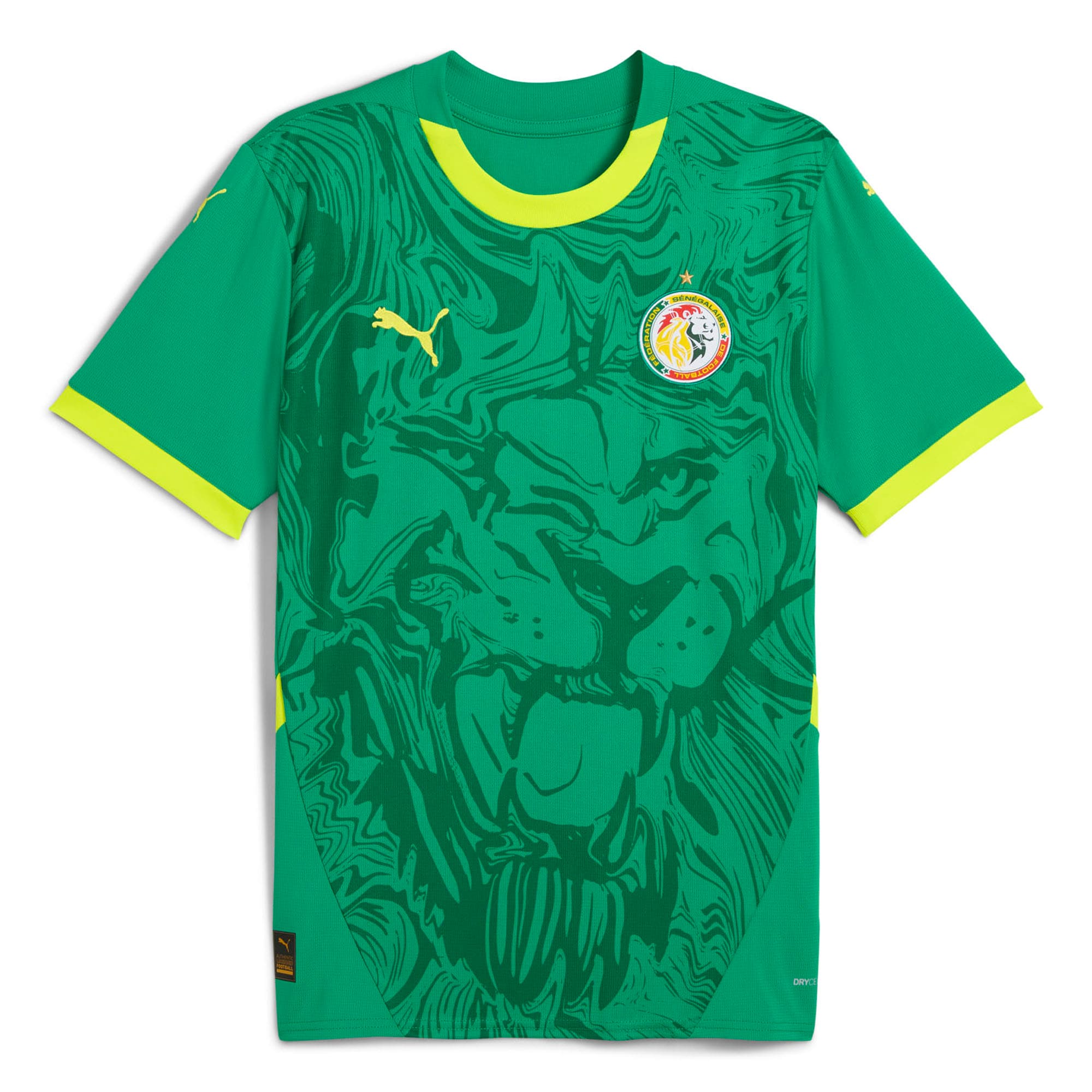 senegal national team puma 2025 away replica jersey – green Collection – England Football Jerseys and Shirts