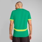 senegal national team puma 2025 away replica jersey – green Collection – England Football Jerseys and Shirts
