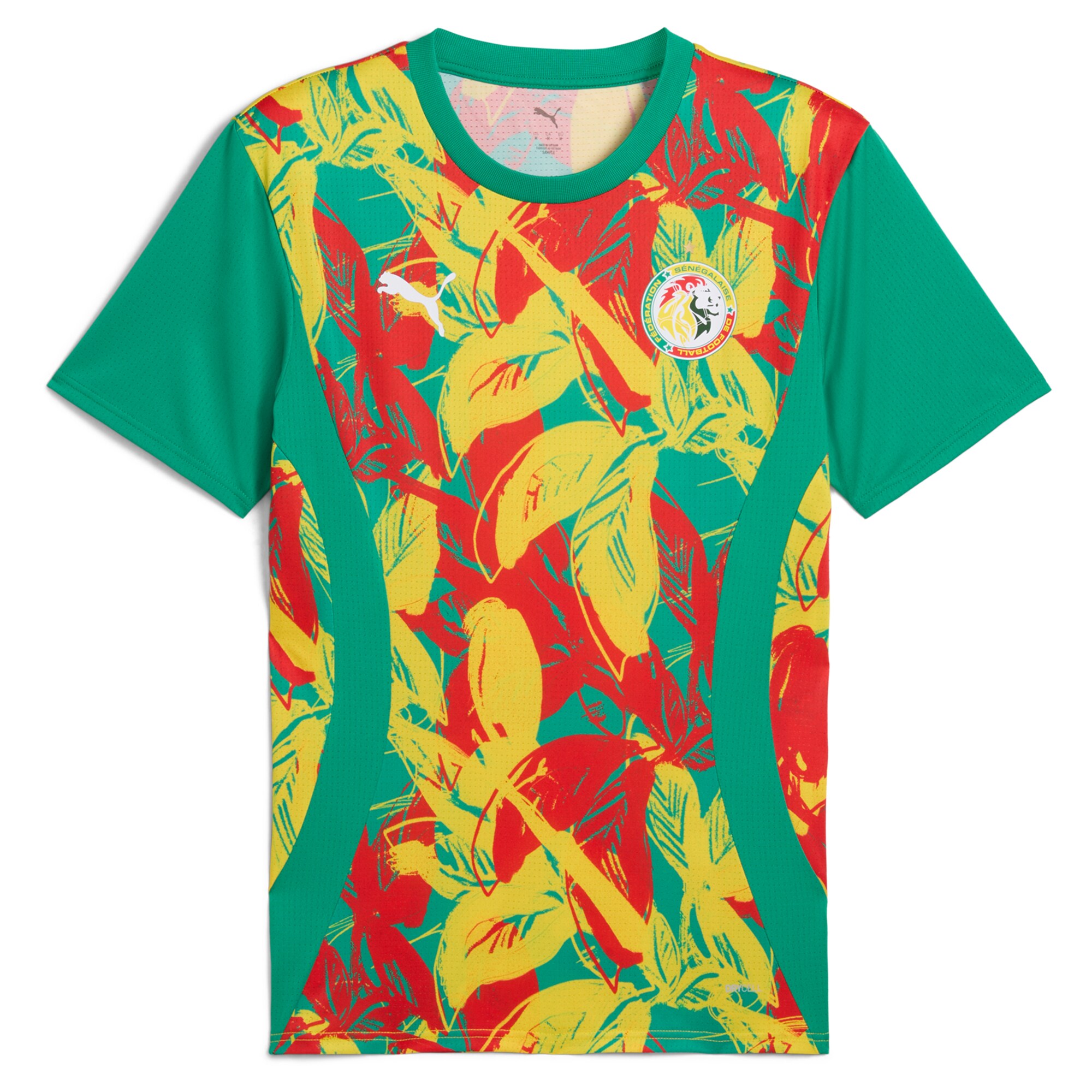 senegal national team puma 2025 pre-match jersey – green Collection – England Football Jerseys and Shirts