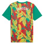 senegal national team puma 2025 pre-match jersey – green Collection – England Football Jerseys and Shirts