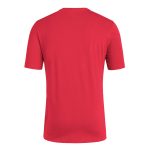 spain national team adidas 2024 european champions t-shirt – red Collection – England Football Jerseys and Shirts